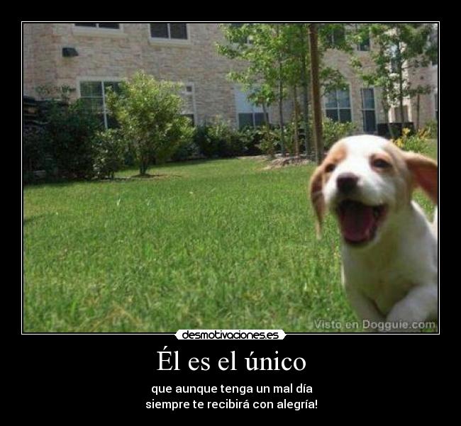 Él es el único - 