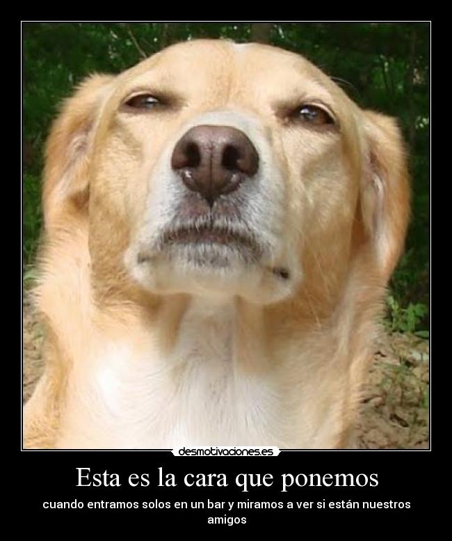 Esta es la cara que ponemos -