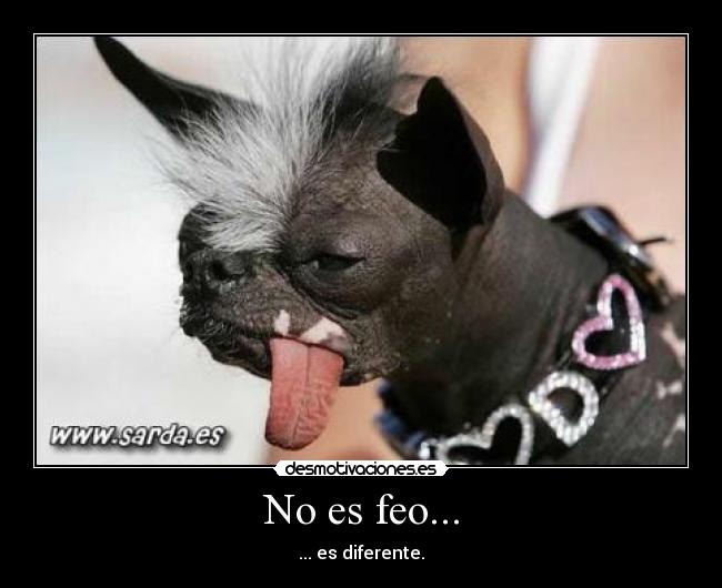 No es feo... - ... es diferente.