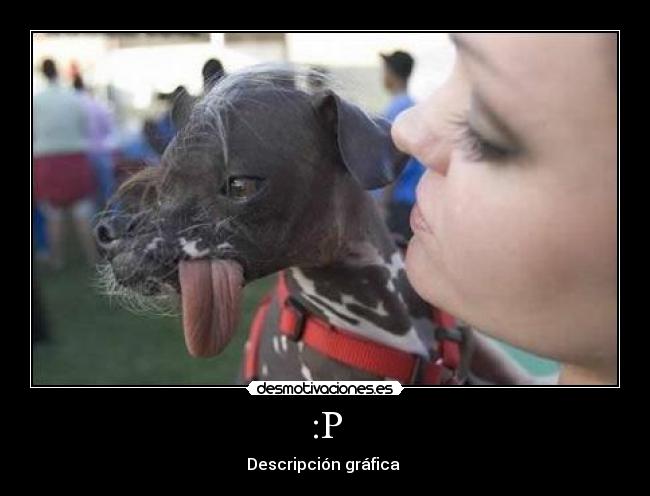 :P - Descripción gráfica