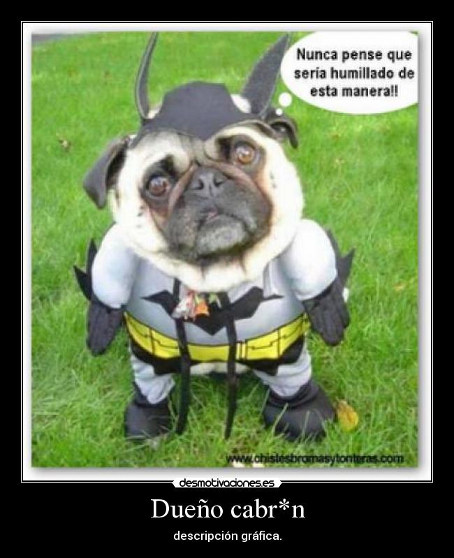 Dueño cabr*n -