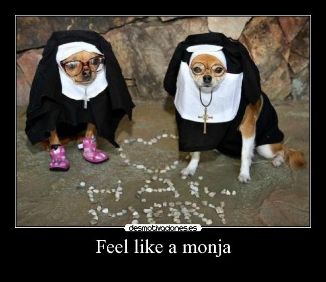 Feel like a monja - 