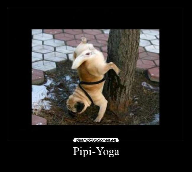 Pipi-Yoga -