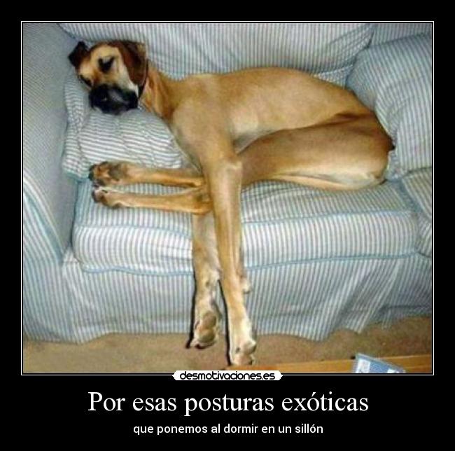 Por esas posturas exóticas -