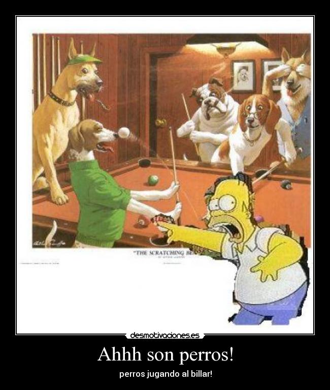 Ahhh son perros! - perros jugando al billar!