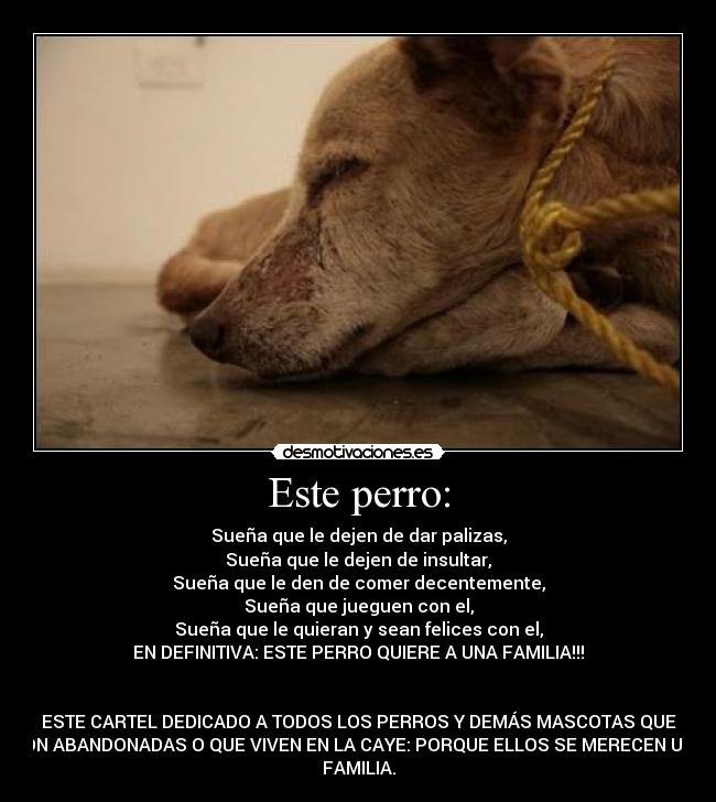 Este perro: - 