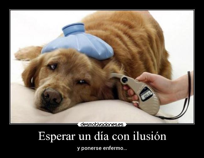 Esperar un día con ilusión - y ponerse enfermo...