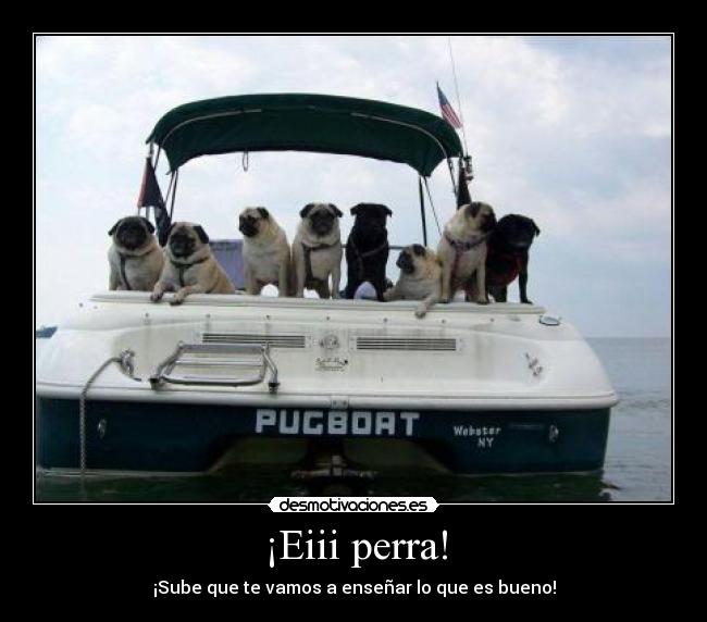 ¡Eiii perra! -