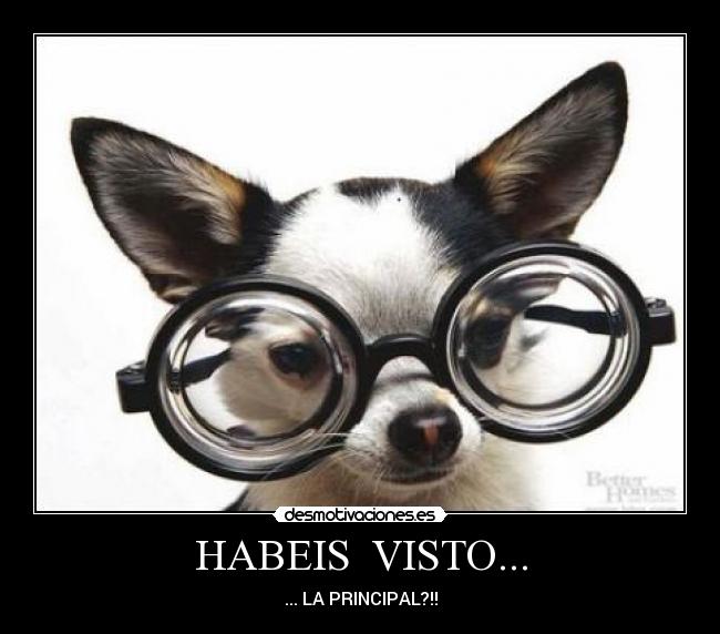 HABEIS VISTO... - ... LA PRINCIPAL?!!