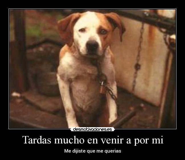 Tardas mucho en venir a por mi -