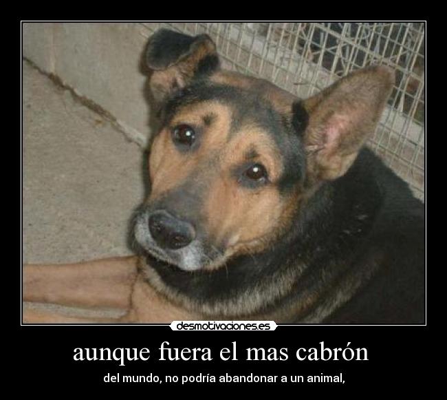 aunque fuera el mas cabrón  - 