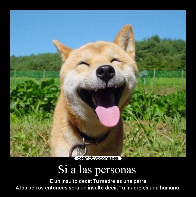 Si a las personas -