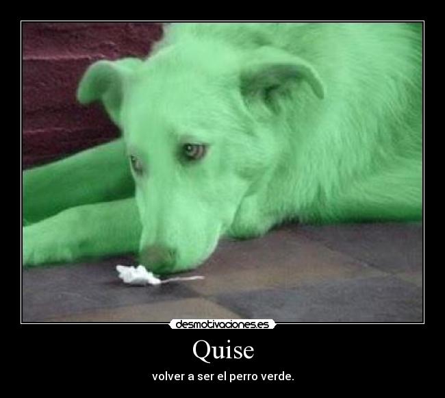 Quise - volver a ser el perro verde.