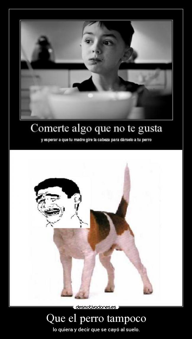 Que el perro tampoco -
