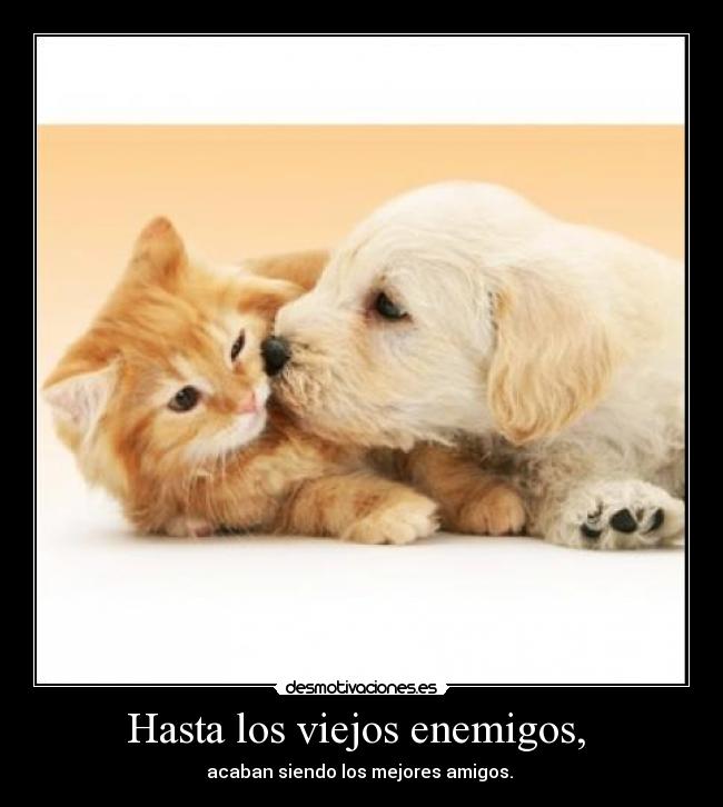 carteles dani desmotivaciones