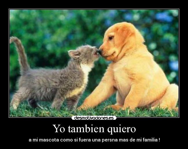 Yo tambien quiero -