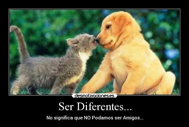 Ser Diferentes... -