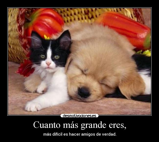 Cuanto más grande eres, - 