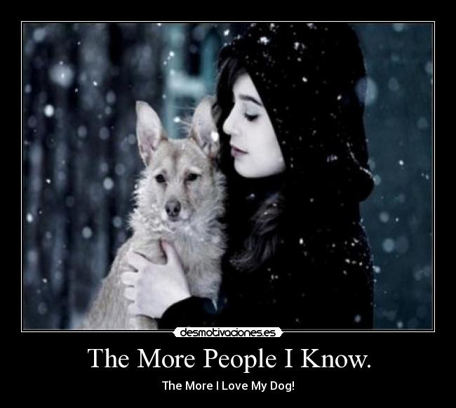 The More People I Know. - 