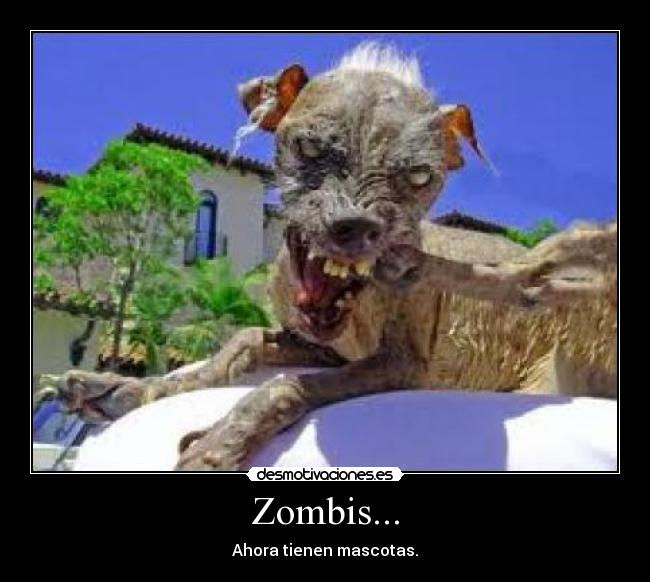 Zombis... - 