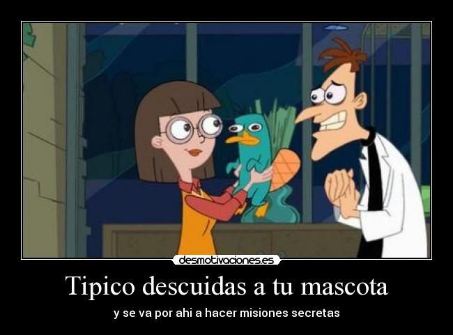 Tipico descuidas a tu mascota -