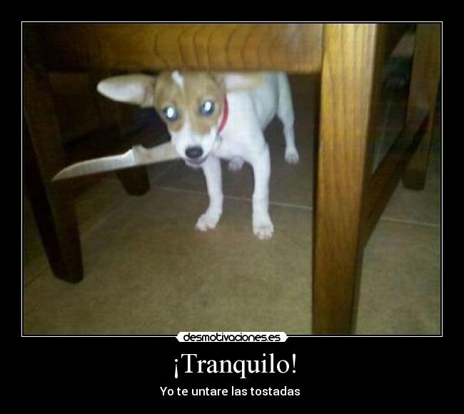 ¡Tranquilo! - 