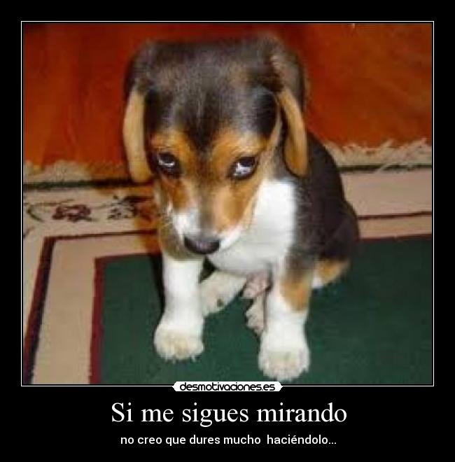 Si me sigues mirando -