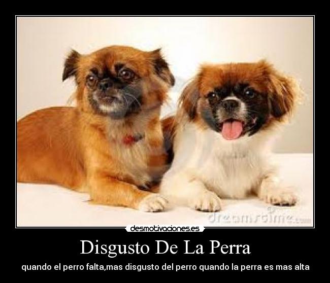 carteles silver99 desmotivaciones