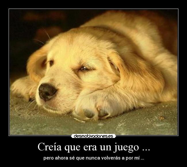 Creía que era un juego ... - 