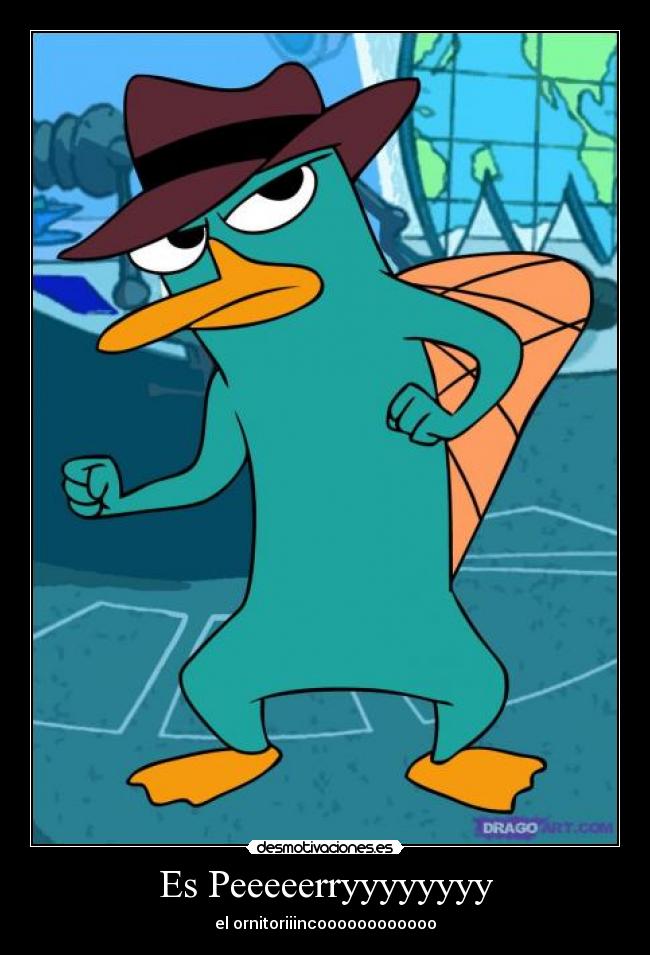 Es Peeeeerryyyyyyyy - el ornitoriiincoooooooooooo