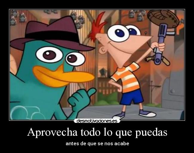 carteles asdasdasdasdasd desmotivaciones