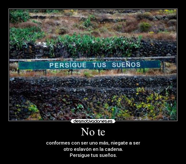 No te - conformes con ser uno más, niegate a ser
otro eslavón en la cadena.
Persigue tus sueños.