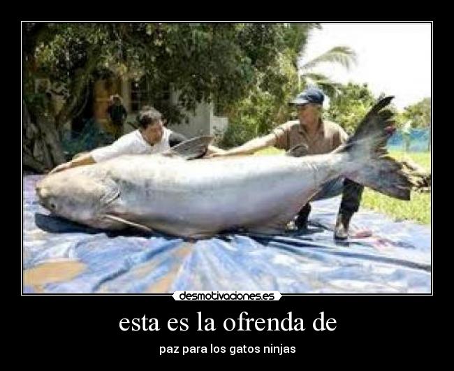 esta es la ofrenda de - 