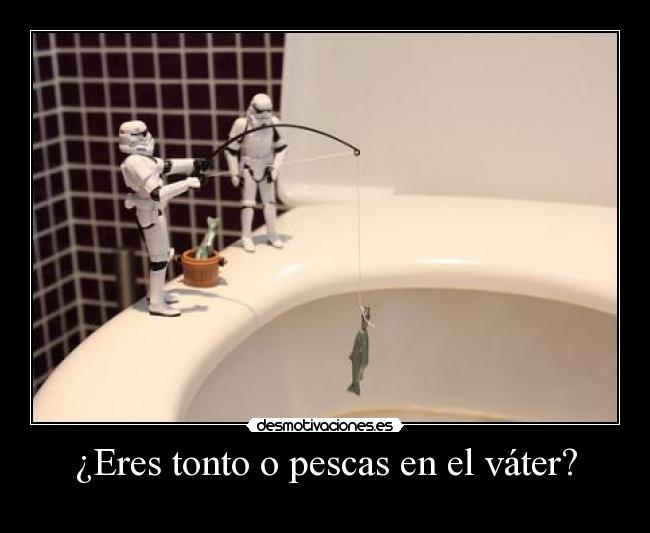¿Eres tonto o pescas en el váter? - 