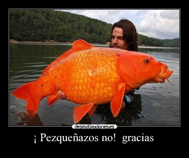 ¡ Pezqueñazos no! gracias -