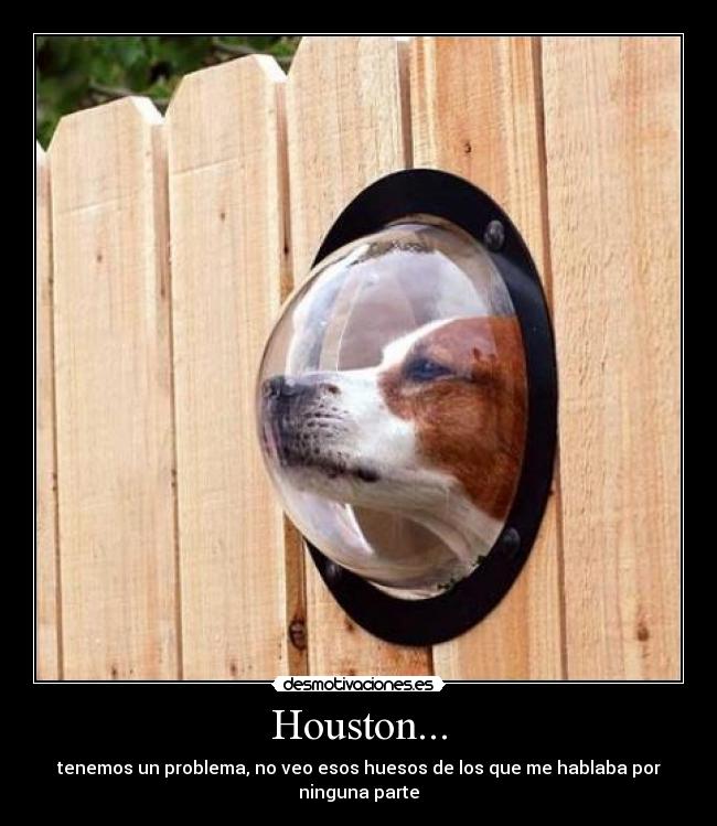 Houston... -