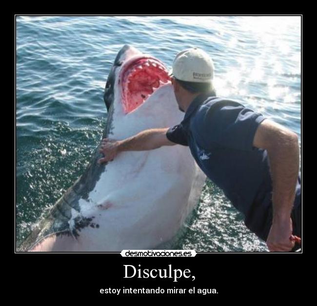 carteles tiburon shark agua oceano lol disculpe mar miedo chan chan chan chan desmotivaciones