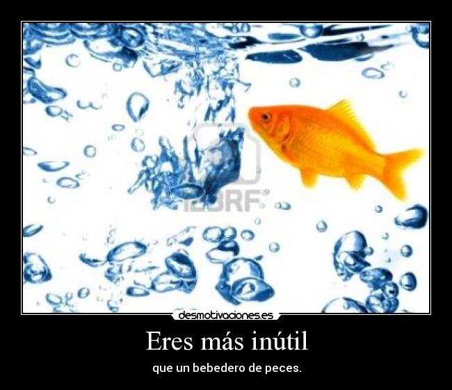 carteles eres mas inutil desmotivaciones
