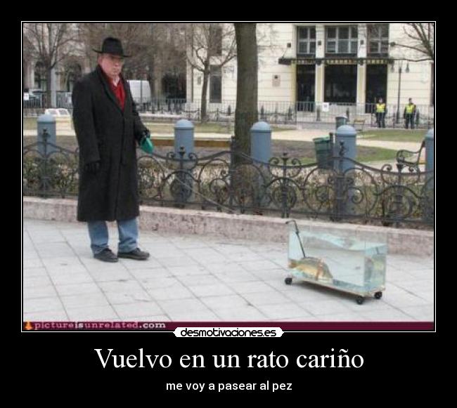 Vuelvo en un rato cariño - me voy a pasear al pez