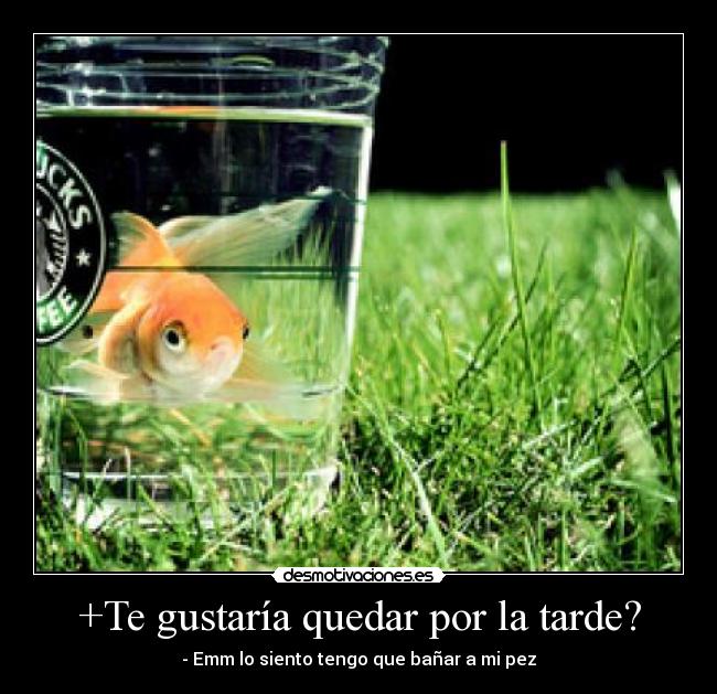 +Te gustaría quedar por la tarde? - 