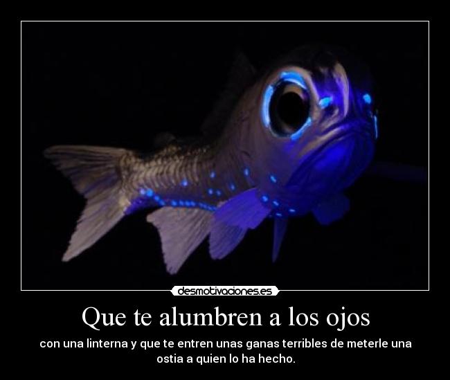 Que te alumbren a los ojos -