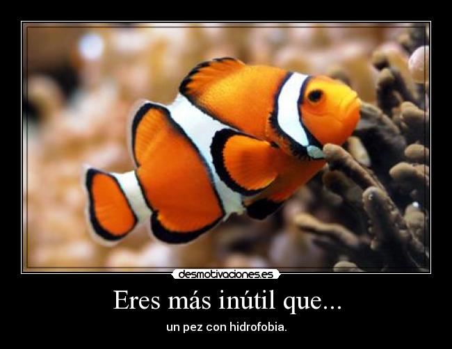 Eres más inútil que... -