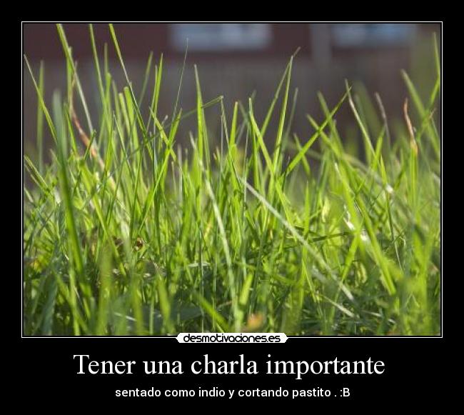 Tener una charla importante - sentado como indio y cortando pastito . :B