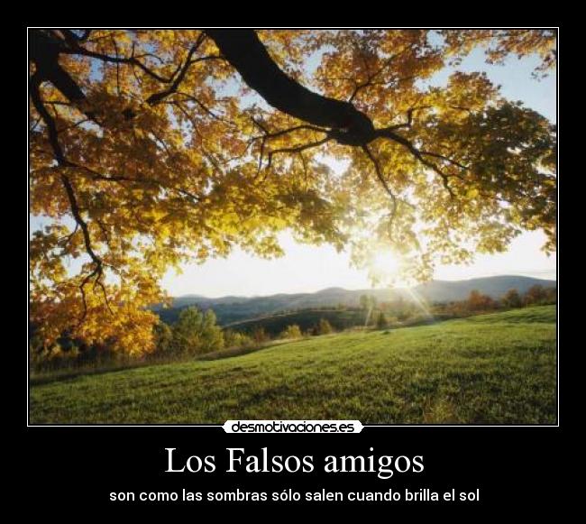 Los Falsos amigos -