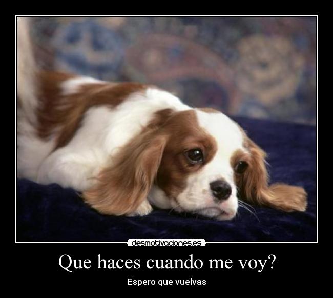 Que haces cuando me voy? -