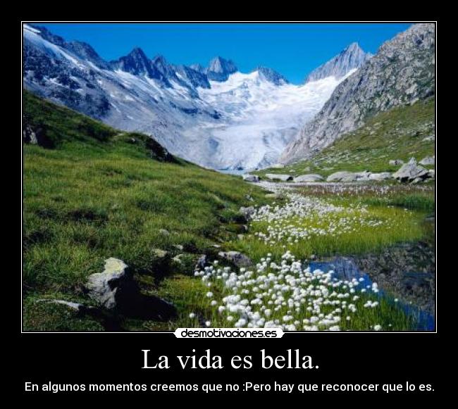 La vida es bella. -