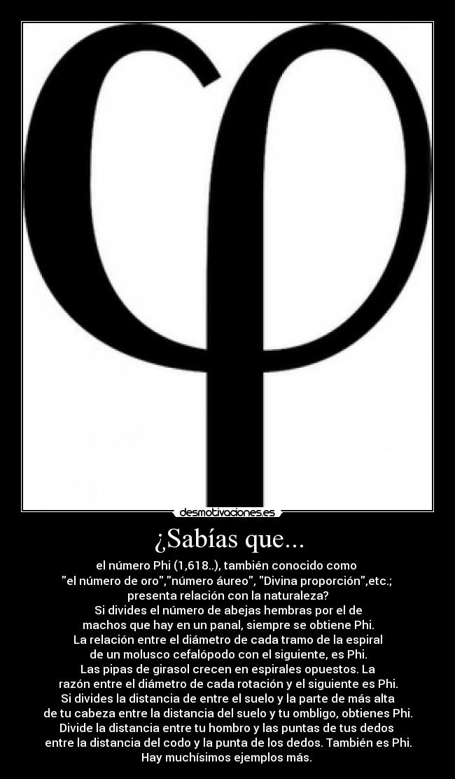¿Sabías que... - el número Phi (1,618..), también conocido como
el número de oro,número áureo, Divina proporción,etc.;
presenta relación con la naturaleza?
Si divides el número de abejas hembras por el de
machos que hay en un panal, siempre se obtiene Phi.
La relación entre el diámetro de cada tramo de la espiral
de un molusco cefalópodo con el siguiente, es Phi.
Las pipas de girasol crecen en espirales opuestos. La
razón entre el diámetro de cada rotación y el siguiente es Phi.
Si divides la distancia de entre el suelo y la parte de más alta
de tu cabeza entre la distancia del suelo y tu ombligo, obtienes Phi.
Divide la distancia entre tu hombro y las puntas de tus dedos
entre la distancia del codo y la punta de los dedos. También es Phi.
Hay muchísimos ejemplos más.