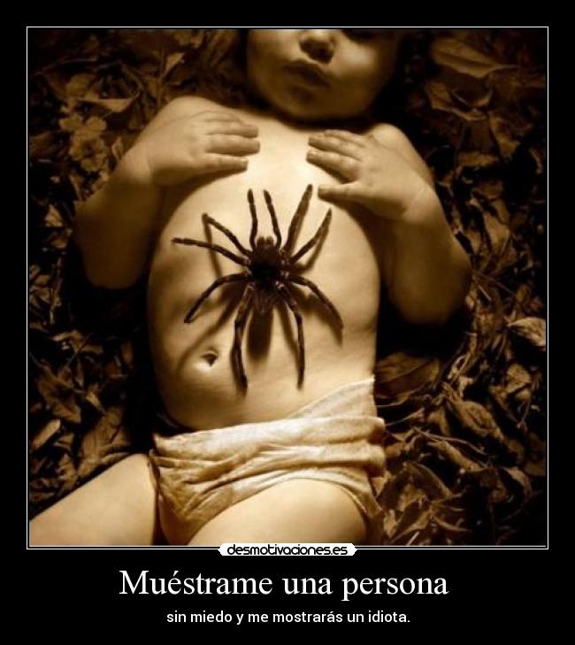 carteles srtw4m5w desmotivaciones