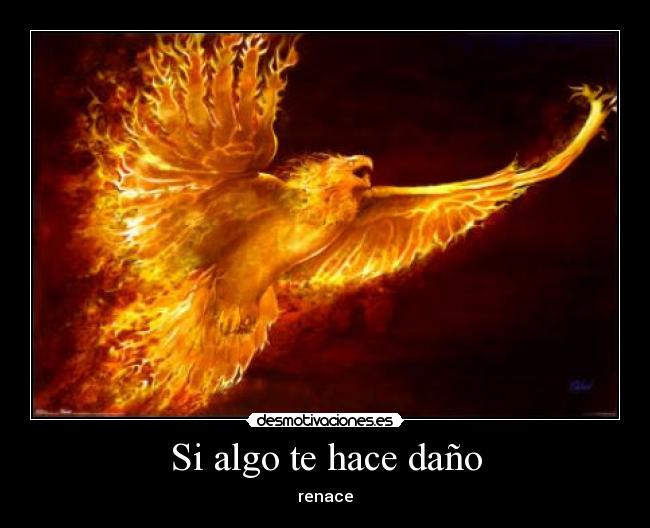 carteles renace desmotivaciones