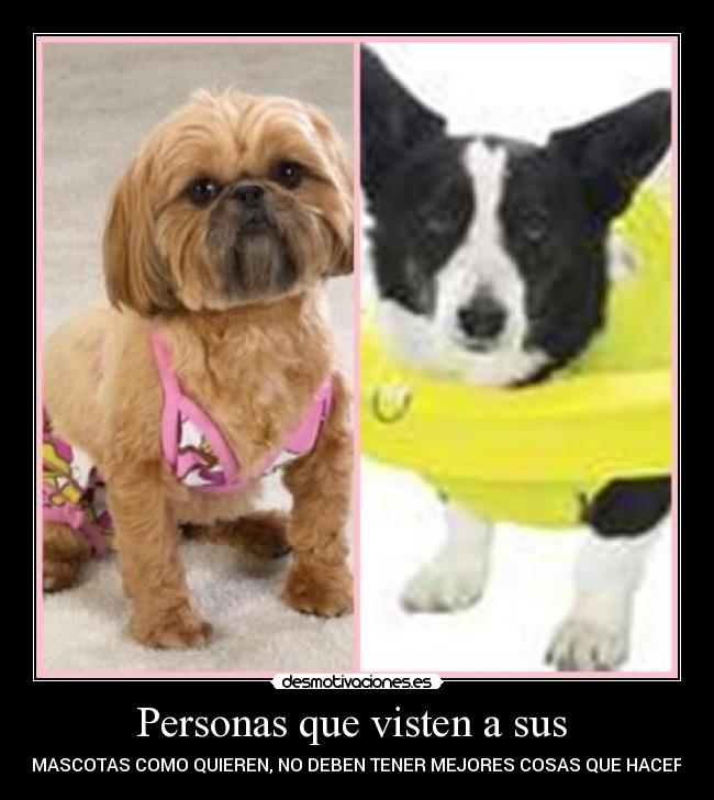 Personas que visten a sus - MASCOTAS COMO QUIEREN, NO DEBEN TENER MEJORES COSAS QUE HACER